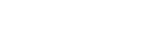 Volkswagen DBF Bordeaux