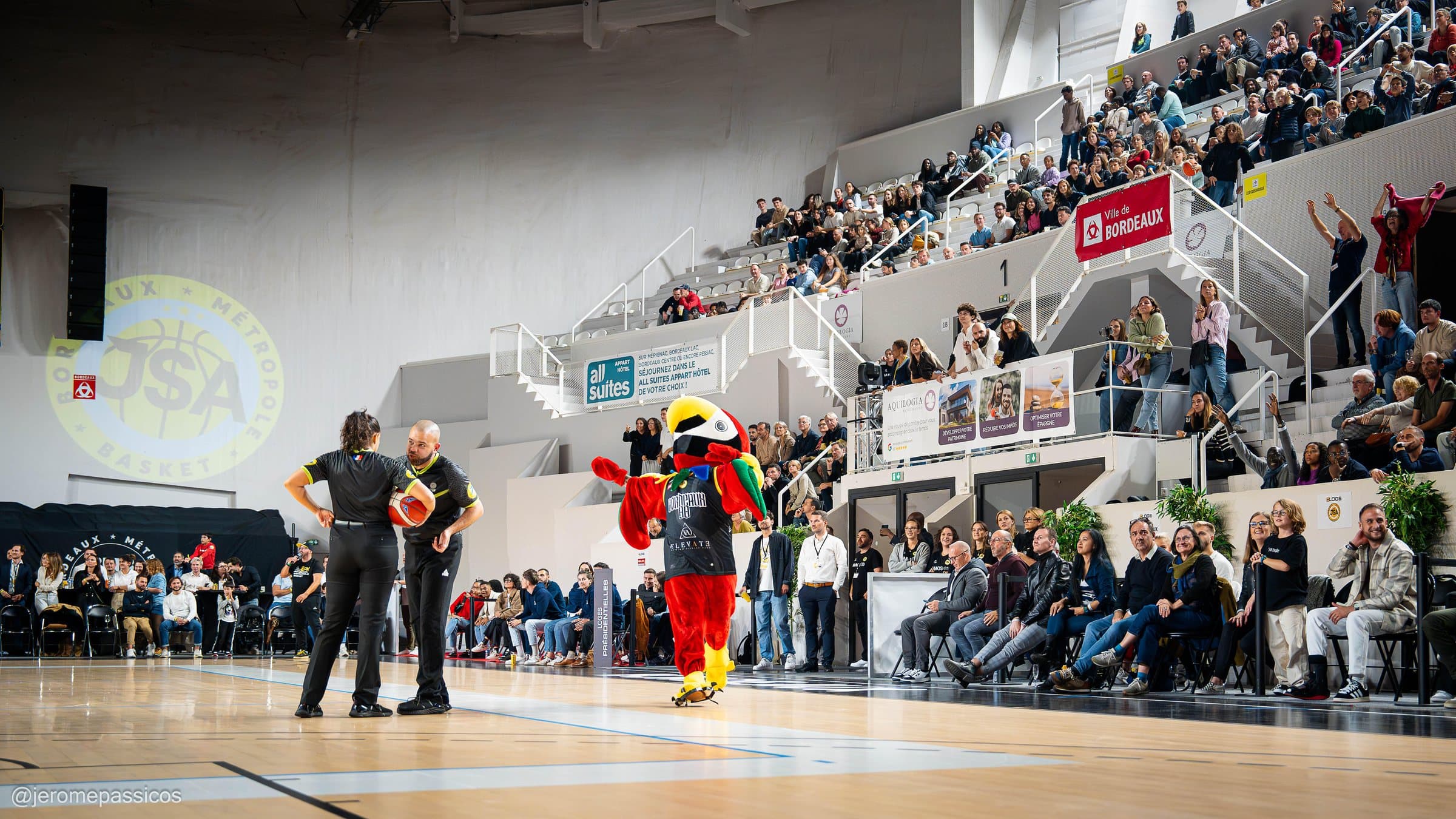 Courtside et tribune VIP au Palais des Sports, la mascotte devant les invités